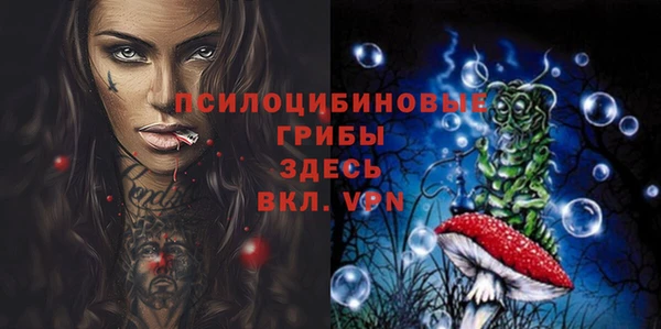 ECSTASY Аркадак