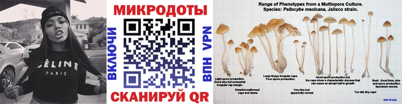 хочу   darknet клад  Псилоцибиновые грибы GOLDEN TEACHER  Полярные Зори 